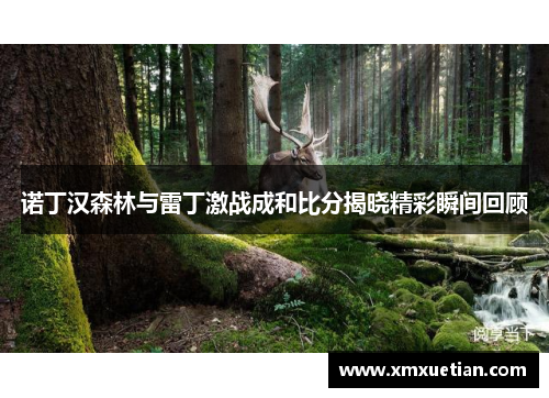 诺丁汉森林与雷丁激战成和比分揭晓精彩瞬间回顾